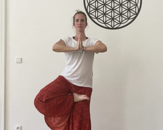 Odpolední Vinyasa Odpolední Vinyasa